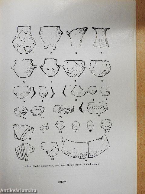 Fejér megye története az őskortól a honfoglalásig I/1.