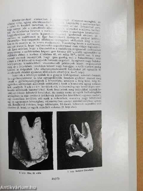 Fejér megye története az őskortól a honfoglalásig I/1.