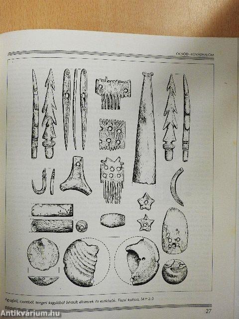 A Tisza-vidék késői neolitikuma