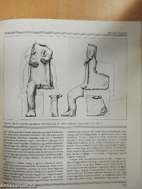 A Tisza-vidék késői neolitikuma