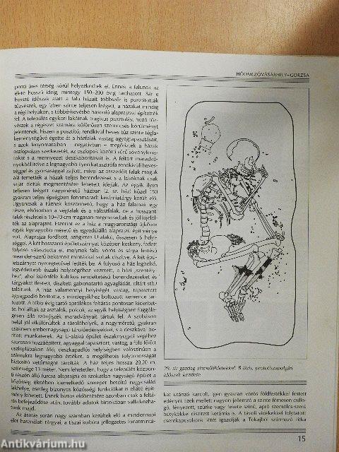 A Tisza-vidék késői neolitikuma