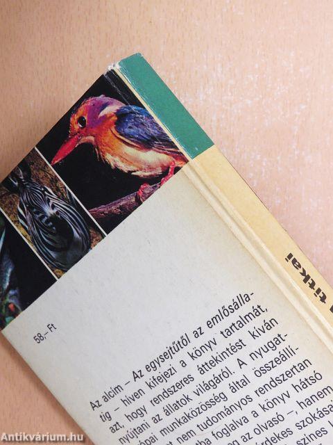 Az állatvilág titkai