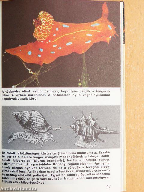 Az állatvilág titkai