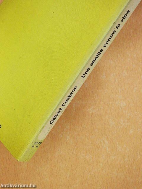 Une abeille contre la vitre