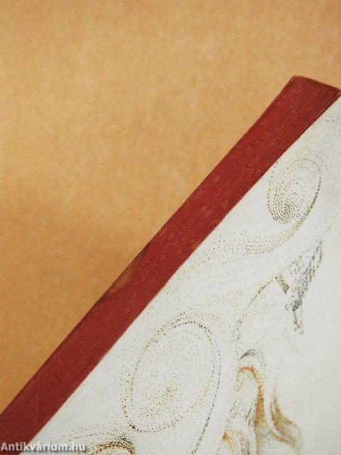 Une fille de Saragosse