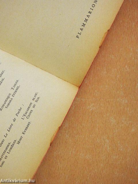 Une fille de Saragosse