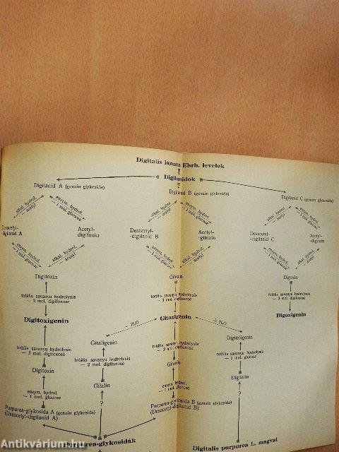 A Magyar Gyógyszerésztudományi Társaság Értesitője 1936.