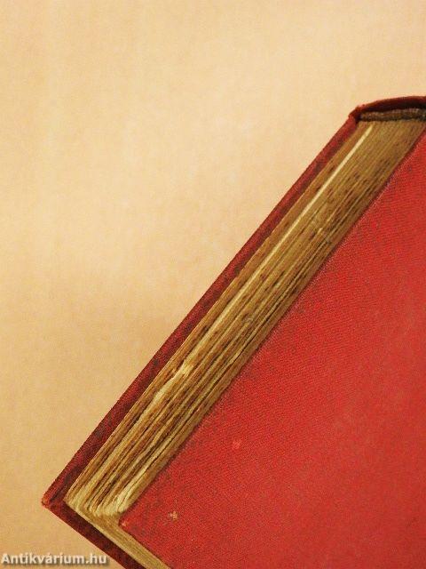 A halászó macska uccája