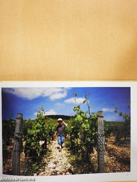 Vignerons de Bourgogne