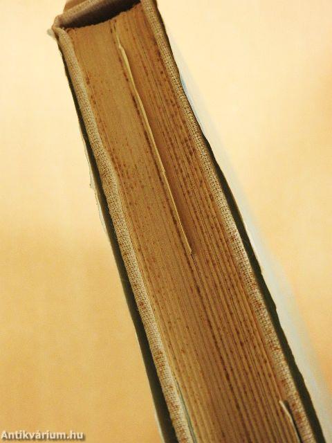 Neoliticul Banatului