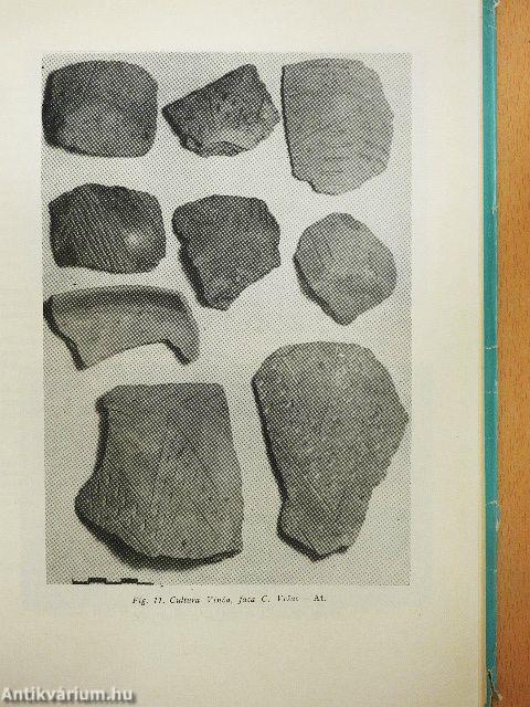 Neoliticul Banatului