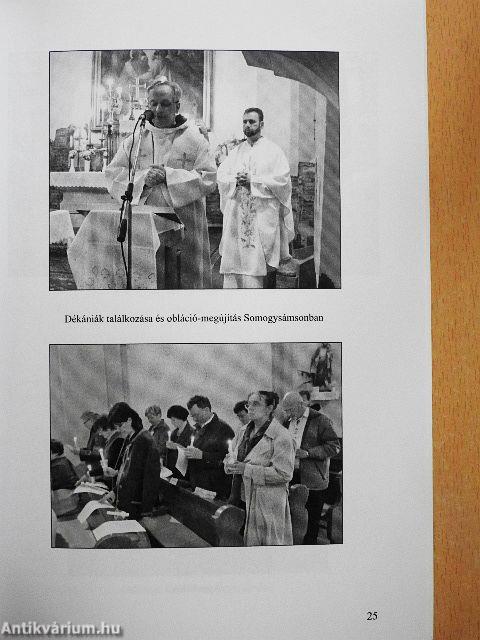 Obláció 2013. XIII/2