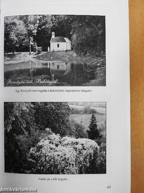 Obláció 2013. XIII/1