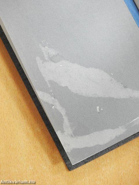 Az újkantianizmus gyakorlati filozófiája