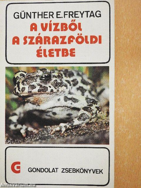 A vízből a szárazföldi életbe