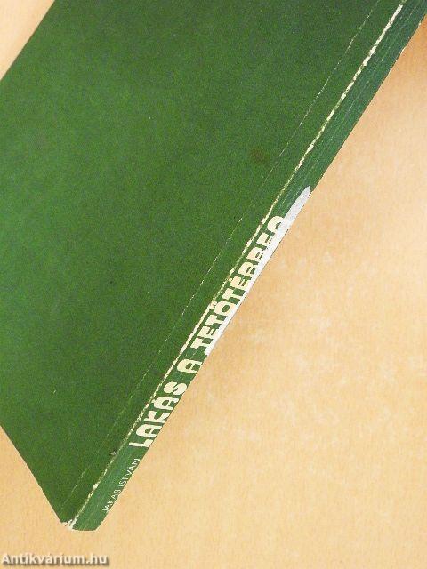 Lakás a tetőtérben