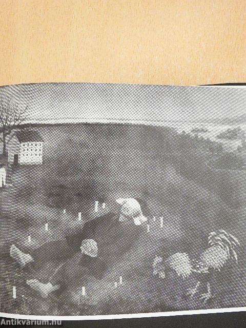 Utazás a gyökerek körül