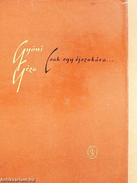 Csak egy éjszakára...