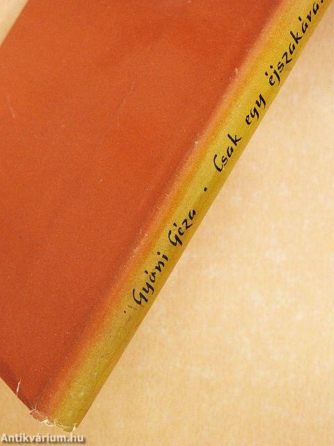 Csak egy éjszakára...