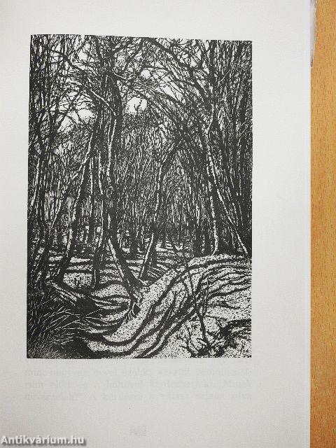 Erdélyi magyar breviárium