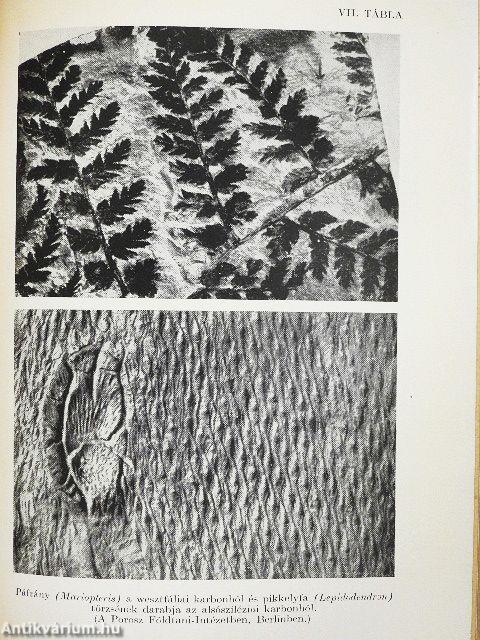 A nyughatatlan Föld