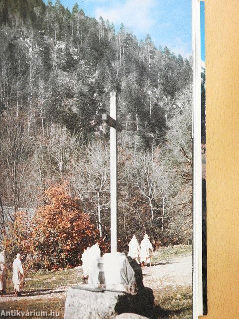 Au "désert" de Chartreuse