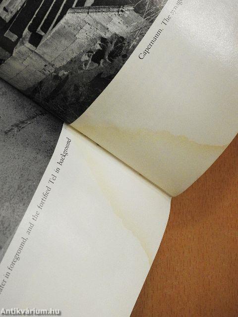 The Splendor of Israel