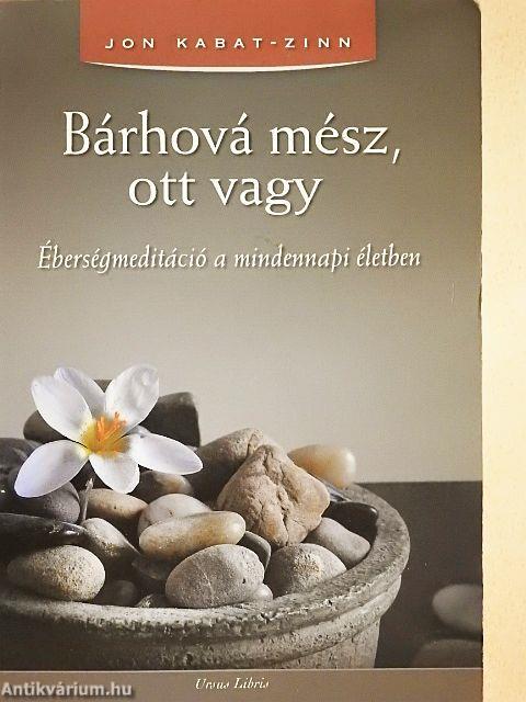 Bárhová mész, ott vagy