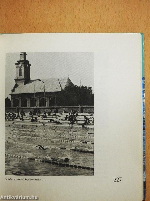 Az Alföld gyógyfürdői és fürdői