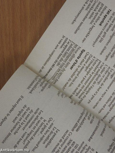 Magyar-Francia Társalgás