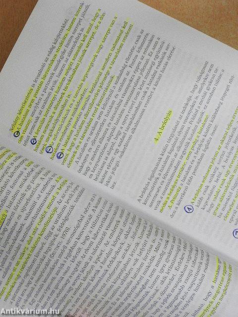 A politikatudomány alapjai