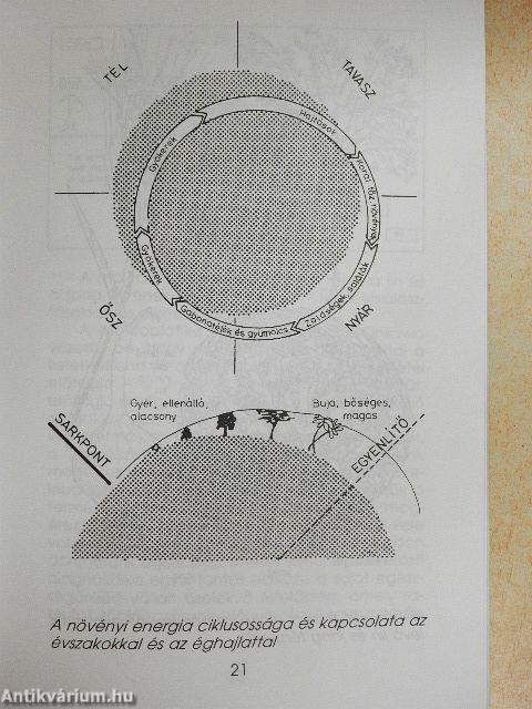 Az arcod nem hazudik