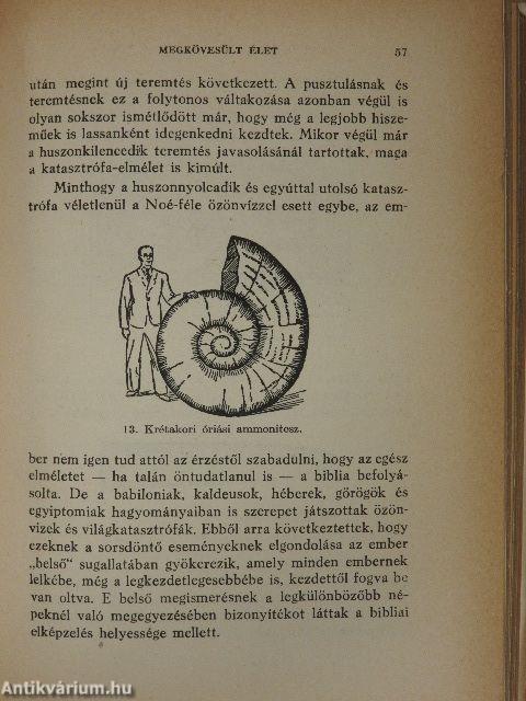 A nyughatatlan Föld