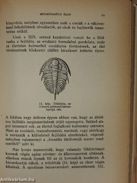 A nyughatatlan Föld