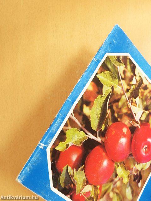 A házikerti gyümölcsösök és szőlő növényvédelme