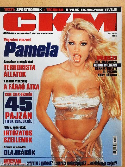 CKM 2003. április
