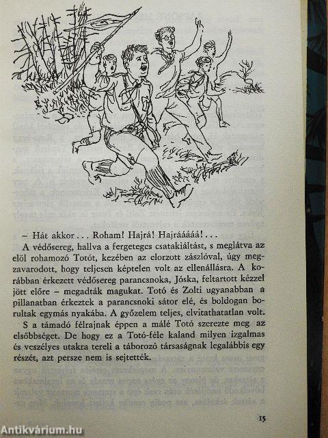 A vámpírok sziklája