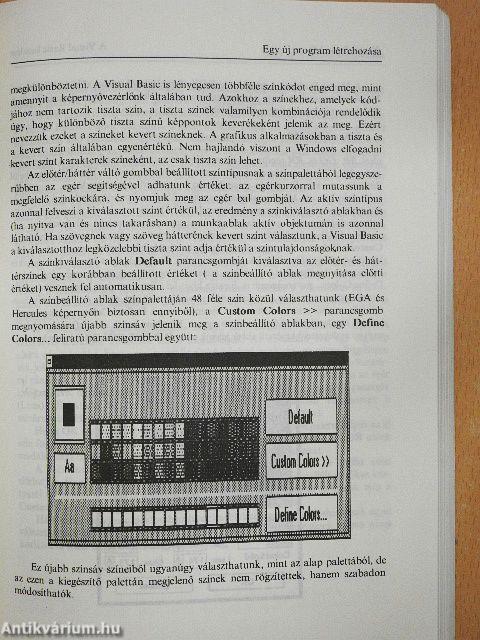 Visual Basic for Windows