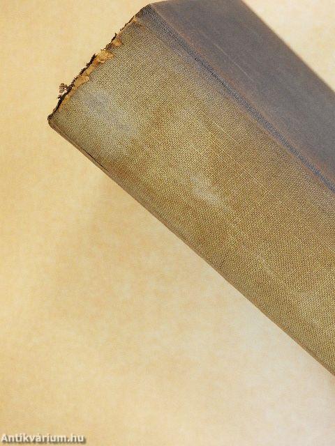 Die soziale Frage der Gegenwart