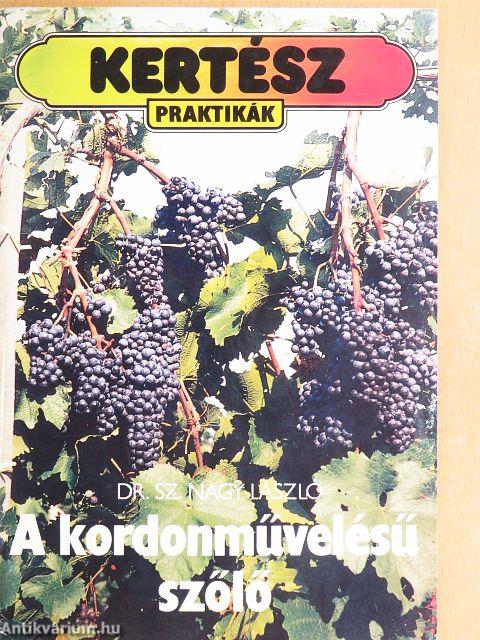 A kordonművelésű szőlő