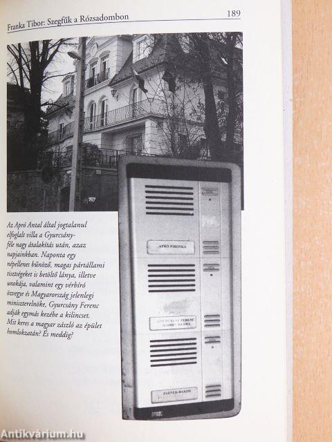 Szegfűk a Rózsadombon