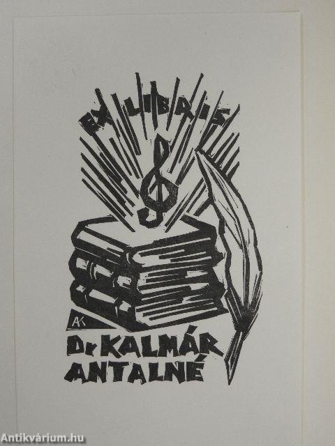 A kolibri irányában...