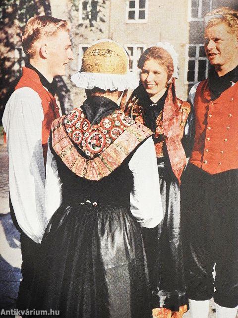 Mecklenburg und sein Handwerk