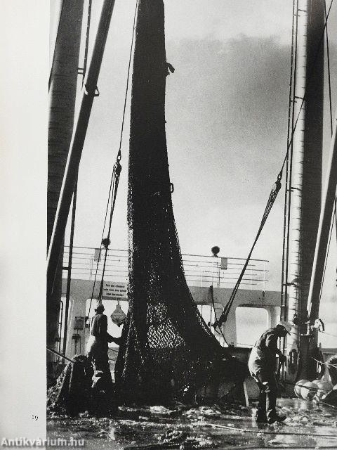 Mecklenburg und sein Handwerk