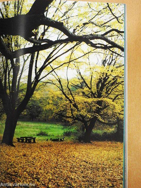 Látnivalók Nógrád megyében