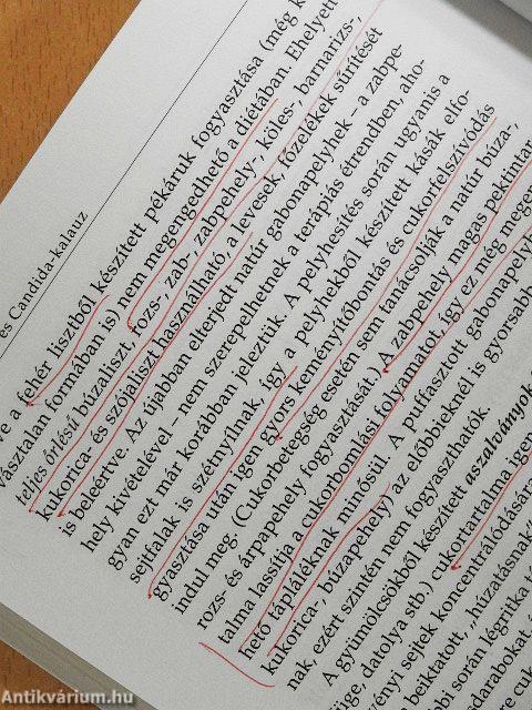 Allergia- és Candida-kalauz