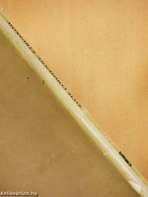 Zycie Codzienne Etrusków