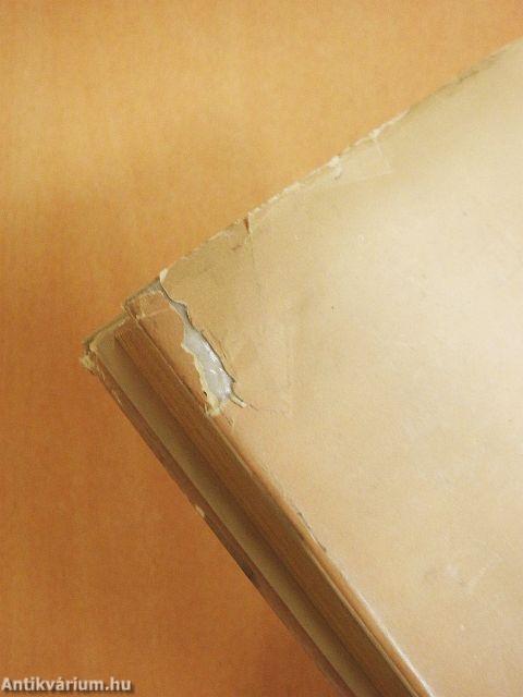 Zycie Codzienne Etrusków