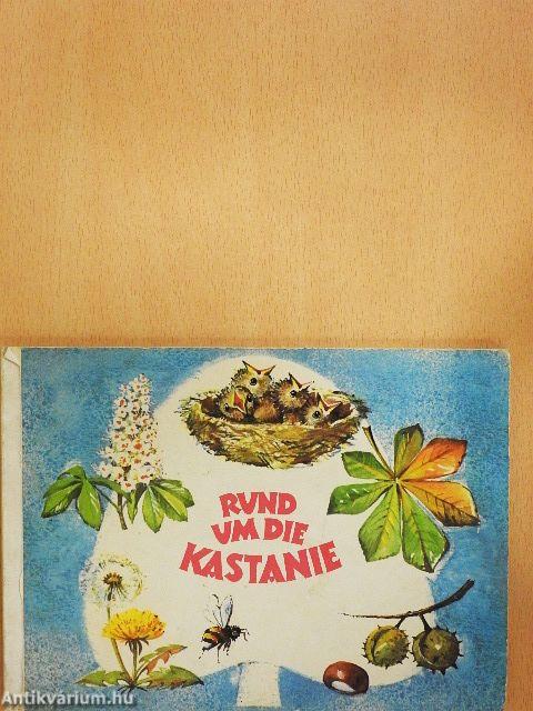 Rund um die Kastanie