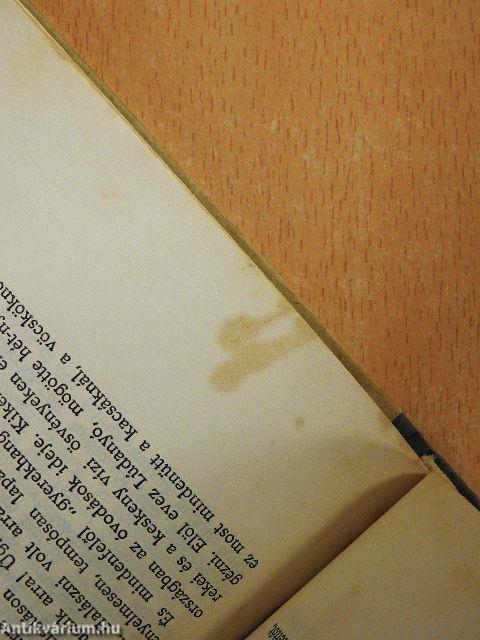 Afrikából jöttek...